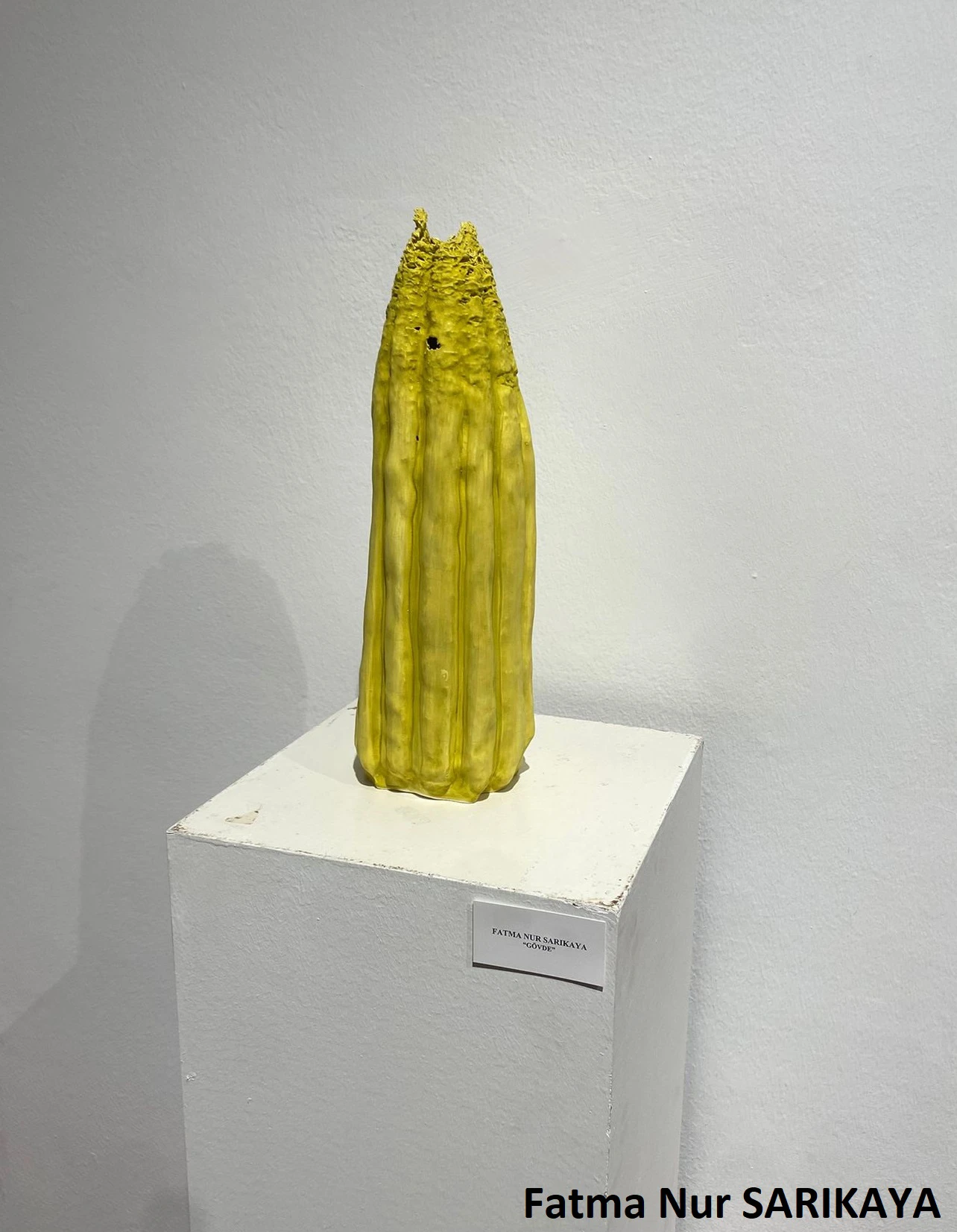 18. Altın Testi Seramik Yarışması